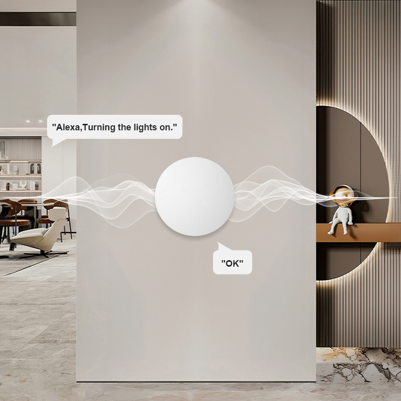 Tuya Smart Life용 ZigBee 스마트 무선 - Home Office Google 리뷰 및 가격
